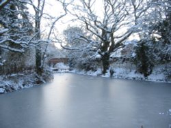 Winter 3.2.2009 Basingstoke Canal, Up Nately Wallpaper
