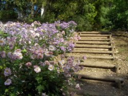 Exeter University Wallpaper