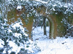 Winter 3.2.2009 Up Nately Wallpaper