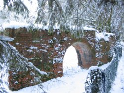 Winer 3.2.2009 Up Nately Wallpaper