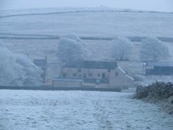 Jan 2009 and it's -5 degrees! Wallpaper