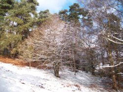 Spring is just around the corner Wallpaper