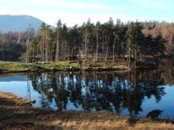 Reflections of a Tarn