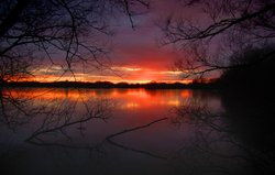 Golden hour Wallpaper