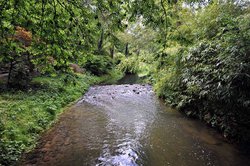 Abbey House Gardens, Malmesbury. Wallpaper