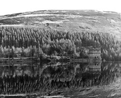 Reflections Wallpaper