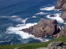 Visit to Lundy Island Wallpaper