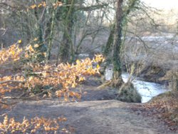 Baydale Beck, Darlington Wallpaper