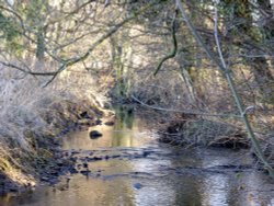 Baydale Beck, Darlington Wallpaper