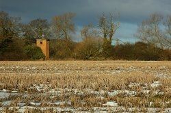 Field in winter Wallpaper