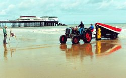 Bringing home the Crabs