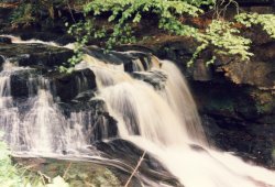 A picture of Cragside Wallpaper