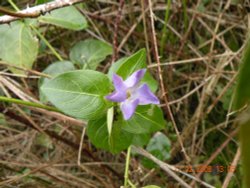 2 Day's After The Snow. Wallpaper