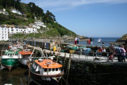 Polperro Harbour Wall Wallpaper