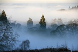 Mist in Fields near Great Haywood Wallpaper