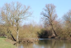 River Great Ouse Wallpaper