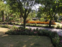 The Royal Avenue Gardens Wallpaper