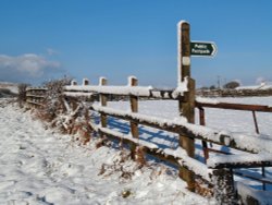 Winter wonderland Wallpaper