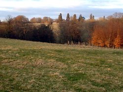 Rushmore Farm