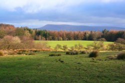 Pendle Hill Wallpaper