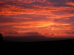 Majestic in Autumnal Gown Wallpaper