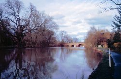 Sonning Bridge Wallpaper