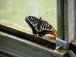 Wheelgate Park Wallpaper