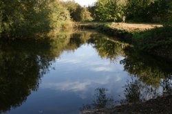 The duck pond