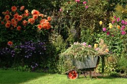 Farm garden
