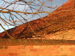 Winter sunshine