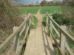 Bridge across the stream