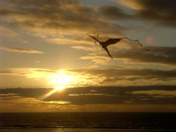 Sunset kite at Cleveleys Wallpaper