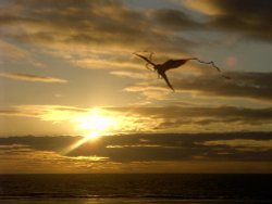 Sunset kite at Cleveleys
