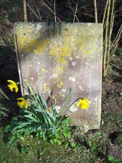 New life for old