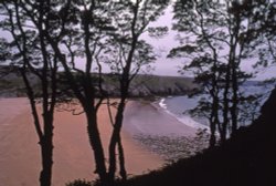 A Pembrokeshire Coastal Beach. Wallpaper