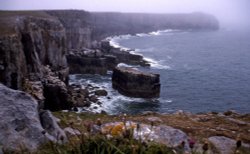 St Govans Head Coastline.