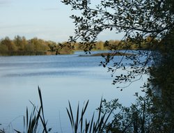 One of the many lakes at the reserve