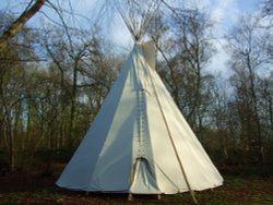 Tepee, Hill Holt Wood Wallpaper