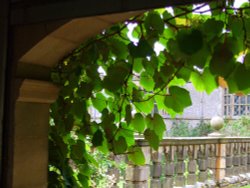 Sitting in the arbour, Haddon Hall Wallpaper