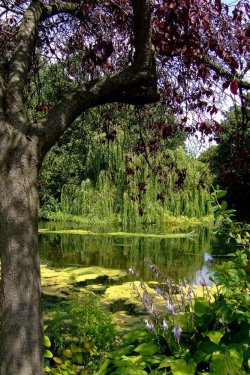 St James Park
