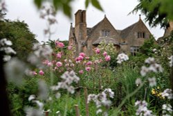 Roses in Hidcote Manor Garden Wallpaper