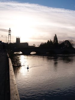 Early morning on the river