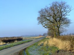 The road to Broomfleet from South Cave Wallpaper