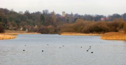 Sprotbrough Flash cottages, Boat Inn and village Wallpaper
