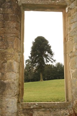 Belsay Castle
