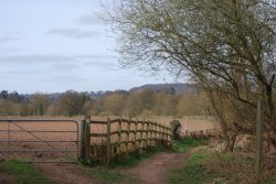 Walk along the Severn from Ribbesford to Bewdley