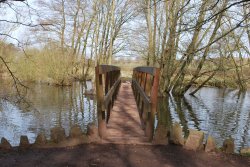 The Nature Trail Wallpaper
