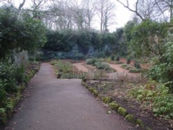 Quarry Garden 1 Wallpaper