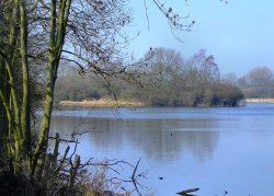 Denaby Ings, Mexborough. Wallpaper
