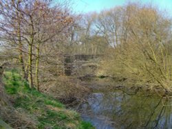 The little bridge at Denaby Ings Wallpaper
